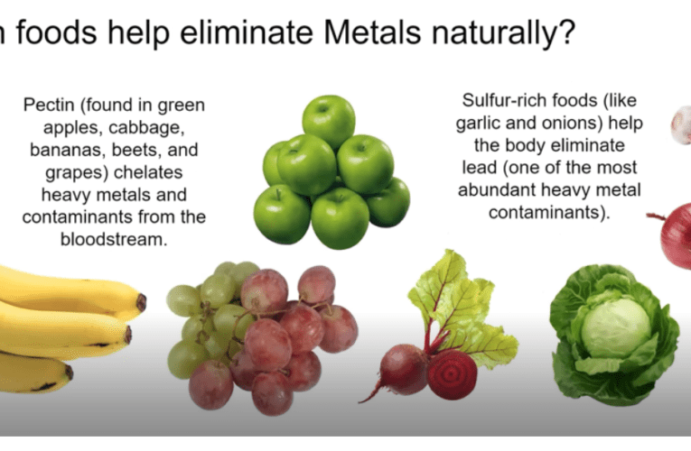 Eliminate Heavy Metals Naturally in Ponder