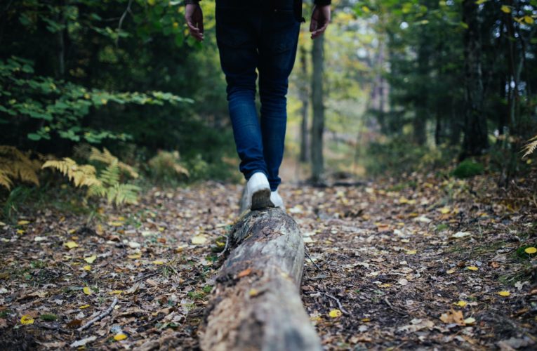 Tips for Balancing your Hormones Naturally  in Ponder